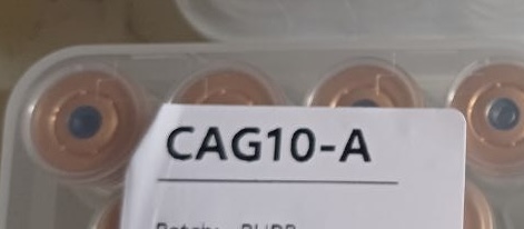 CAGRILLINTIDE-10